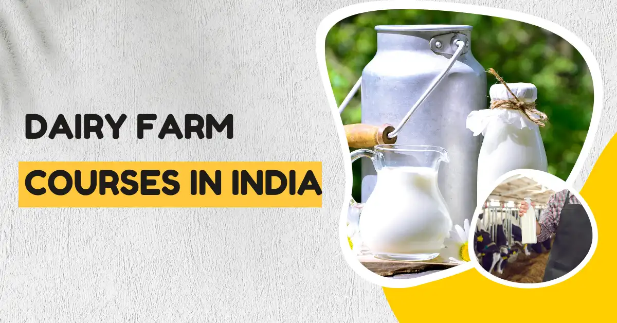Dairy Farm Courses in India