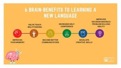 An infographic titled "6 Brain-Benefits to Learning a New Language" with icons that list improved memory, multitasking, better communicators, increased self-confidence, developed creative skills, and improved decision-making & problem-solving ability.