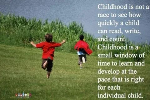 The image contains a powerful quote about the nature of early childhood and education.

The full quote is:

"Childhood is not a race to see how quickly a child can read, write, and count. Childhood is a small window of time to learn and develop at the pace that is right for each individual child."

The image features two young children in red shirts running enthusiastically through a grassy field toward a body of water, visually supporting the idea of unhurried, natural development.