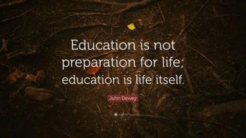 Quote by John Dewey: “Education is not preparation for life; education is life itself.” The text is centered on a dark, earthy background showing tree roots and a single yellow leaf.