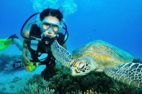 A female SCUBA diver, possibly a marine biologist, is underwater and looking at the camera, while positioned next to a large sea turtle resting on a coral reef. She is wearing a mask and dive gear and holding a yellow and black piece of equipment, possibly a camera or light.