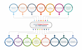 Best High-Paying Degree Courses